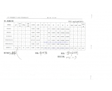 文新電鍍廠監(jiān)督性監(jiān)測(cè)報(bào)告